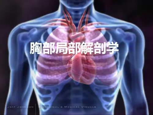 胸部局解