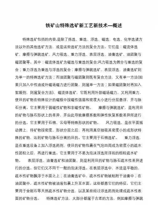 铁矿山特殊选矿新工艺新技术---概述