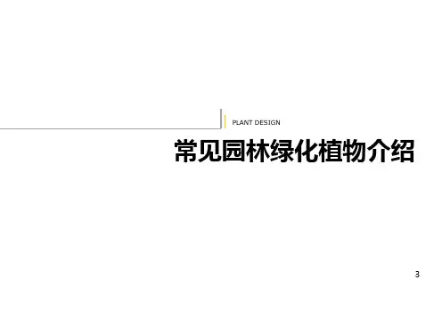 常见树木花卉