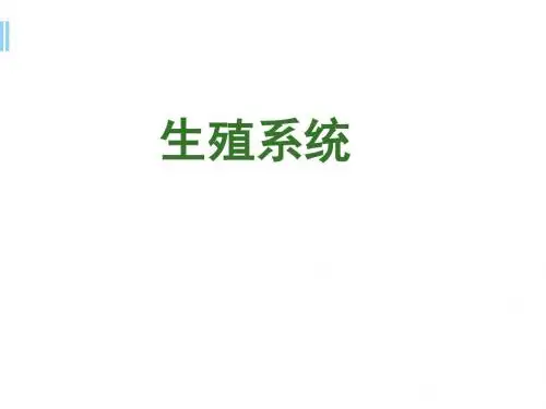 生殖系统医学PPT课件