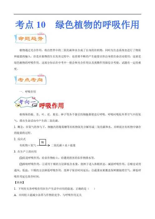考点10  绿色植物的呼吸作用(考点详解)-备战2021年中考生物考点微专题