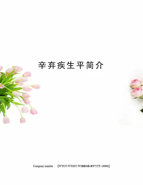 辛弃疾生平简介