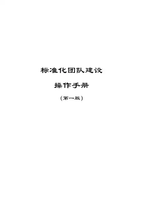 保险公司标准化团队操作手册(第一版)范文