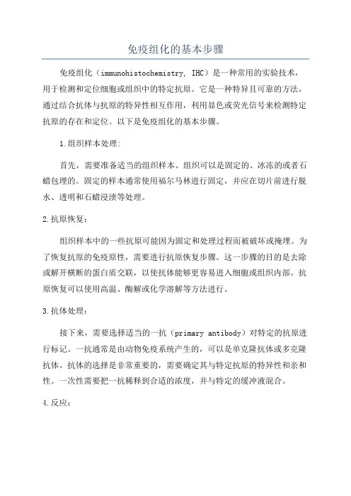 免疫组化的基本步骤