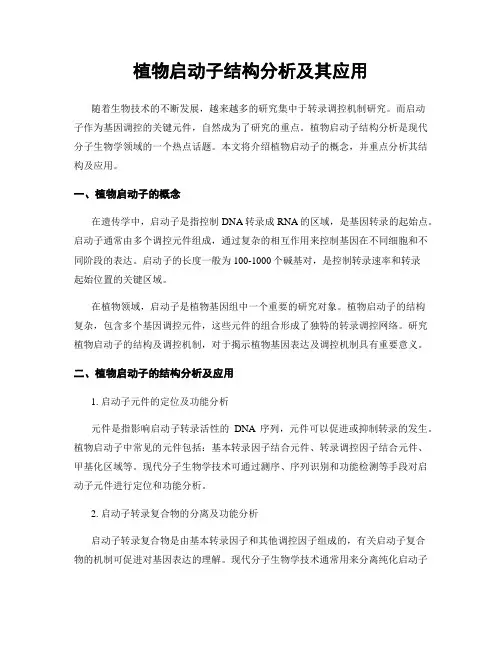 植物启动子结构分析及其应用