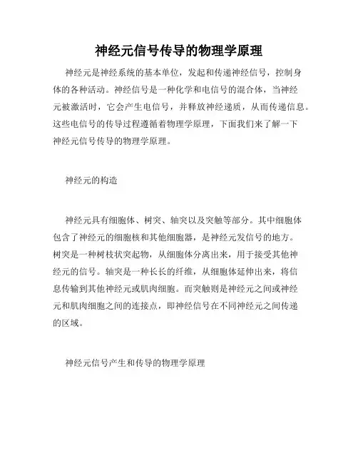 神经元信号传导的物理学原理