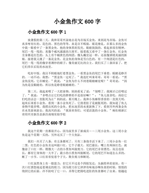 小金鱼作文600字