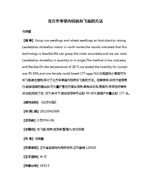 北方冬季室内饲养灰飞虱的方法