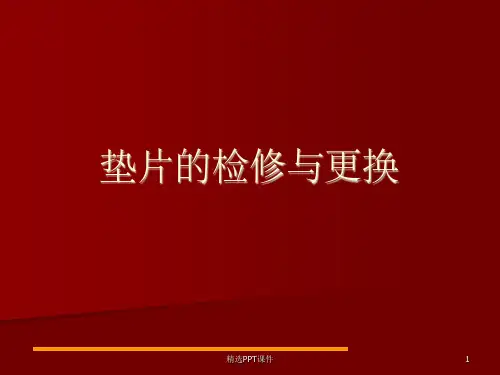 (垫片的检修与更换)ppt课件