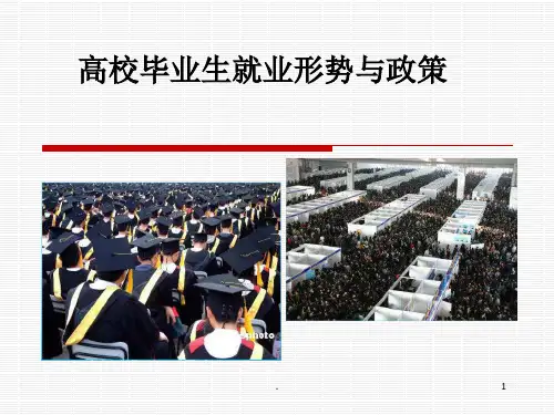 高校毕业生就业形势与政策 (课堂PPT)