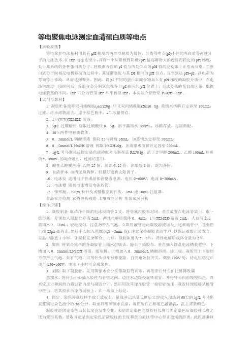 等电聚焦电泳测定血清蛋白质等电点