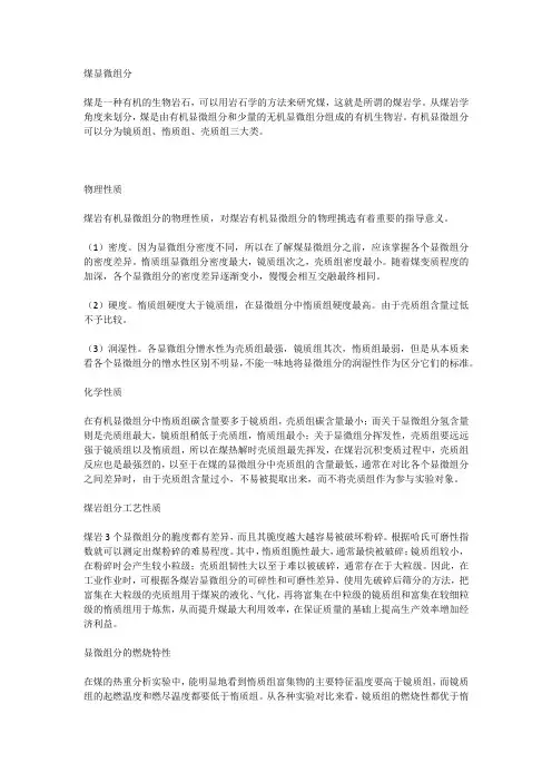煤显微组分