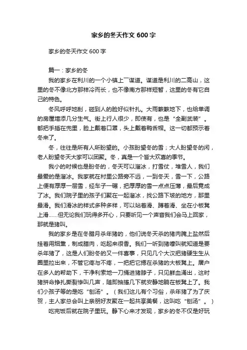家乡的冬天作文600字