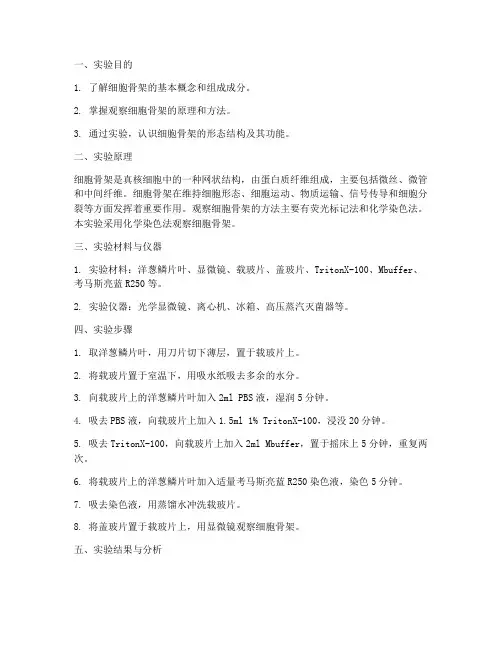 骨架的实验报告