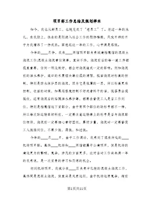 项目部工作总结及规划样本(5篇)