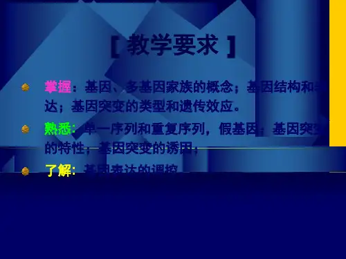 遗传的分子基础-PPT课件.ppt