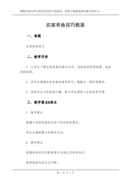 在家养鱼技巧教案