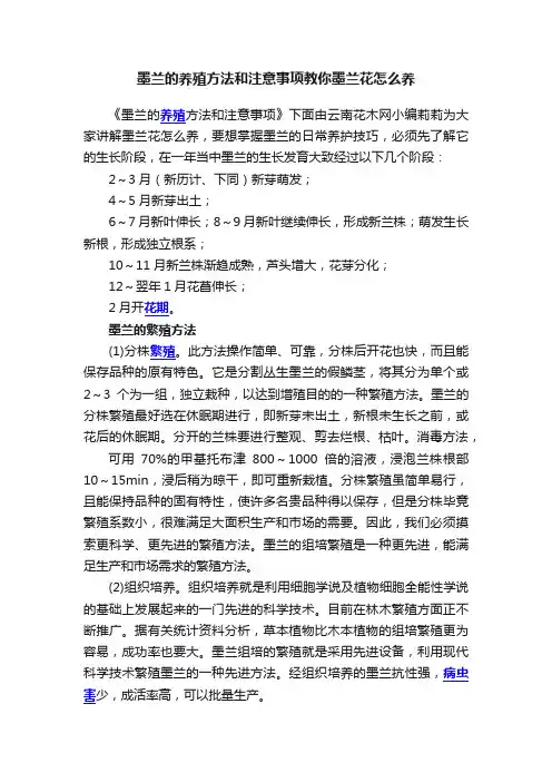 墨兰的养殖方法和注意事项教你墨兰花怎么养