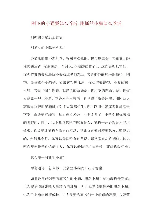 刚下的小猫要怎么养活-刚抓的小猫怎么养活