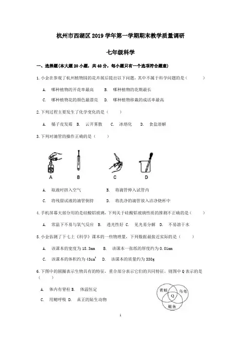 浙江省杭州市西湖区2019学年第一学期七年级科学期末卷(word,含答案)