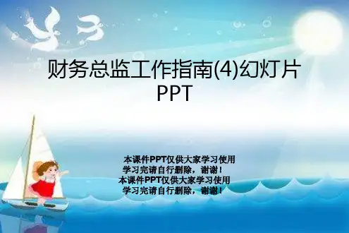 财务总监工作指南(4)幻灯片PPT