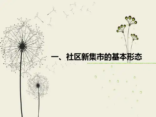 社区新集市可行性方案ppt课件