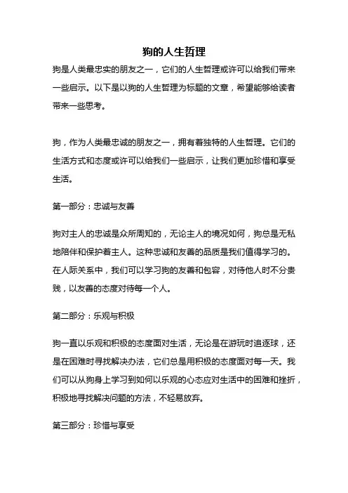 狗的人生哲理
