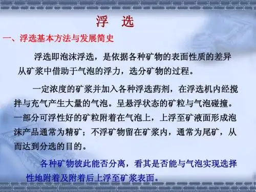 选矿---浮选