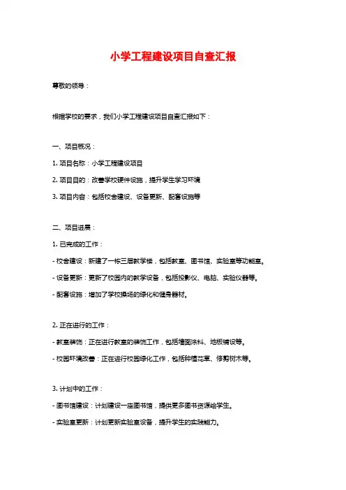 小学工程建设项目自查汇报