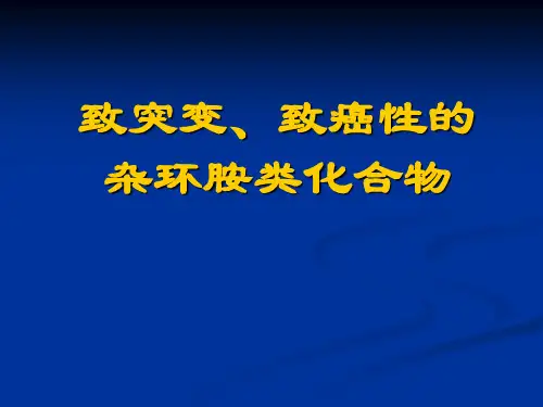 致突变、致癌性的 杂环胺类化合物