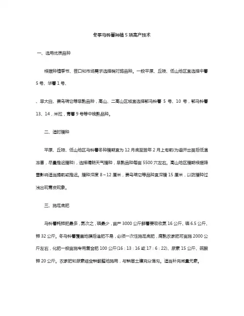 冬季马铃薯种植5项高产技术