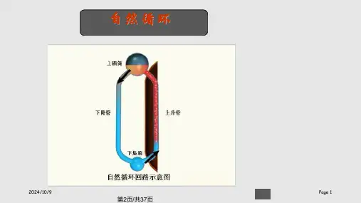 锅炉原理9学习.pptx