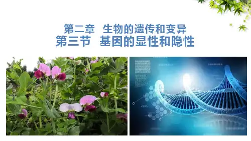 第三节基因的显性和隐性课件人教版生物八年级下册