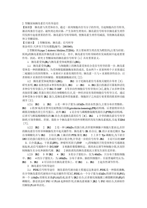 2 型糖尿病胰岛素信号传导途径