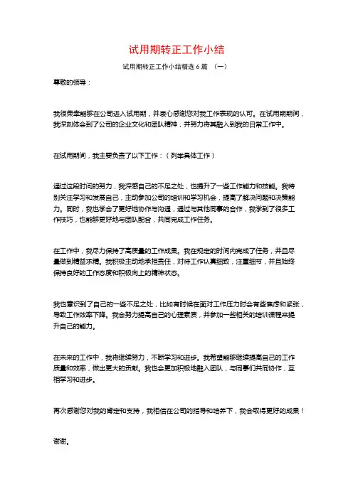 试用期转正工作小结6篇