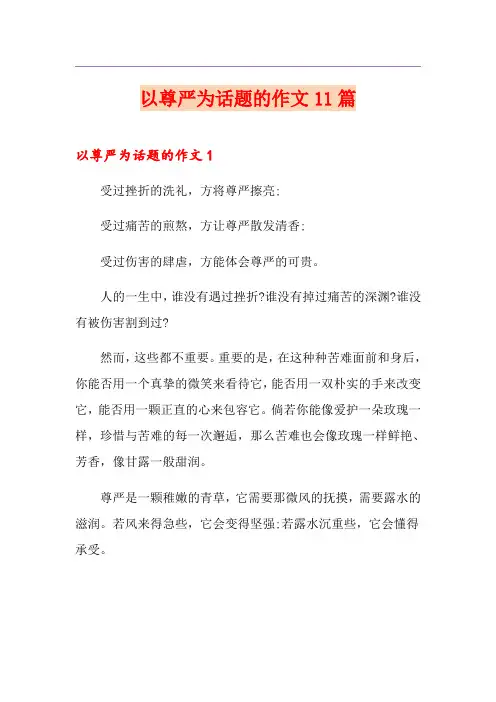以尊严为话题的作文11篇