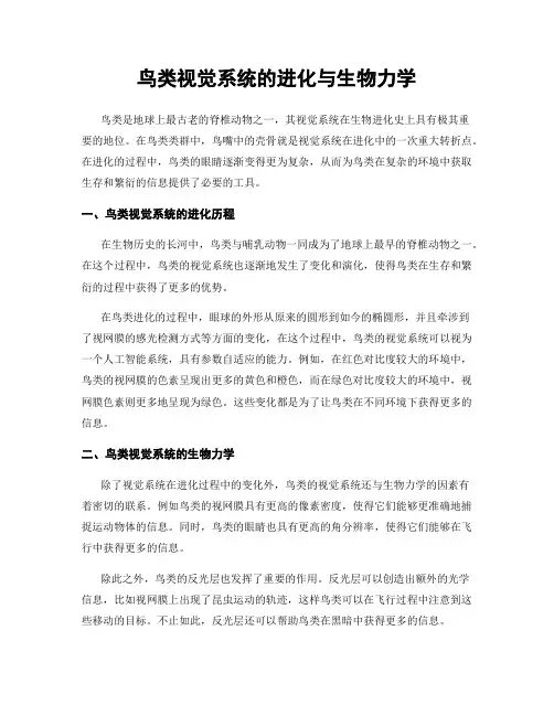 鸟类视觉系统的进化与生物力学