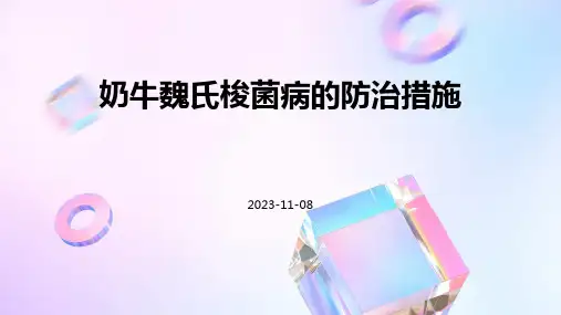 奶牛魏氏梭菌病的防治措施