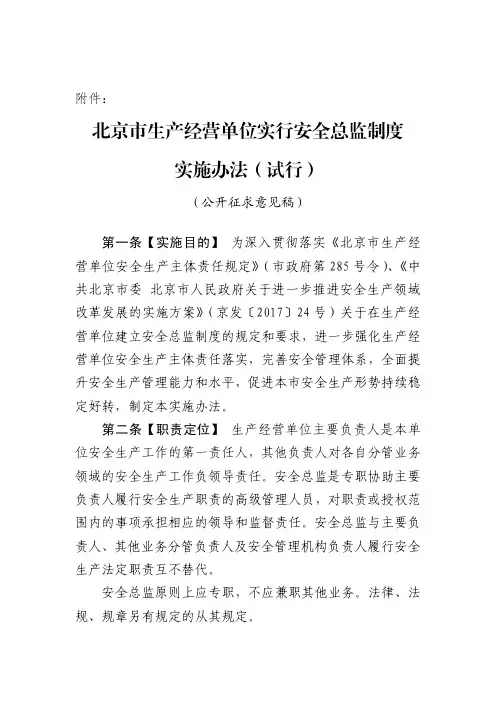 北京市生产经营单位实行安全总监制度实施办法(试行)