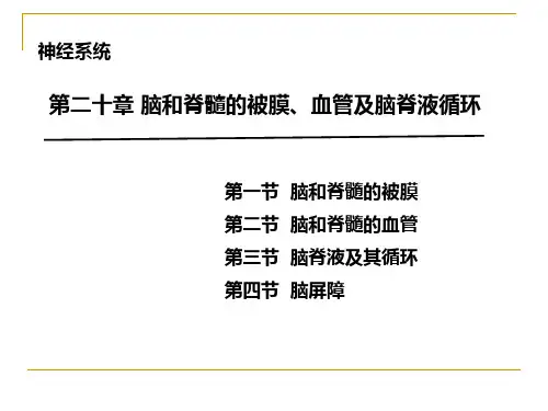 系统解剖学课件：脑脊髓被膜及血管