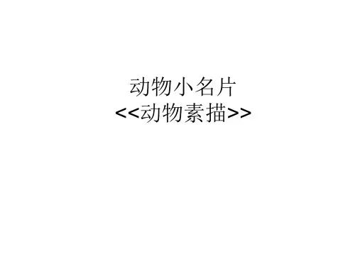 动物素描