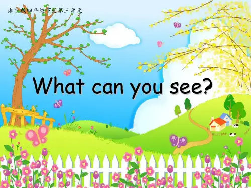 四年级英语下册课件-Unit 3 What can you see（89）-湘少版