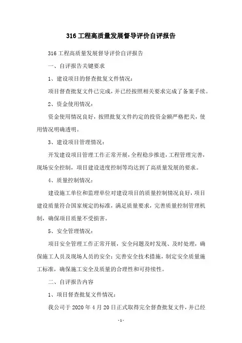 316工程高质量发展督导评价自评报告