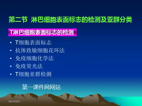免疫学检验-免疫细胞检测的临床意义优质课件PPT