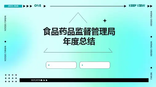 食品药品监督管理局年度总结PPT