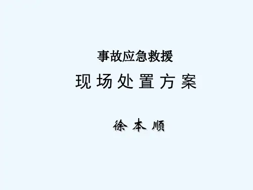 现场处置方案
