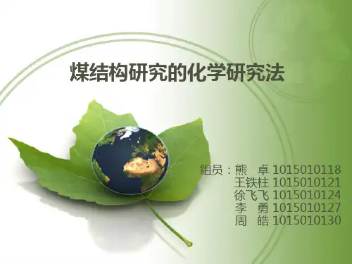 煤化学官能团的研究