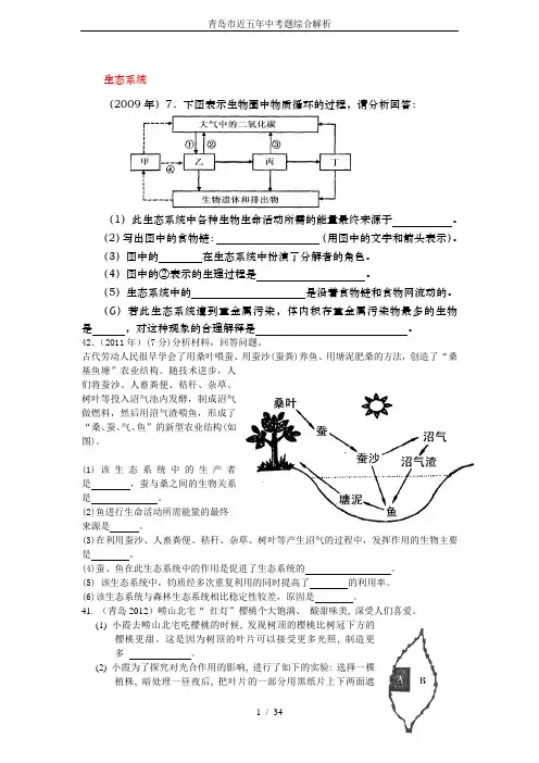 青岛市近五年中考题综合解析