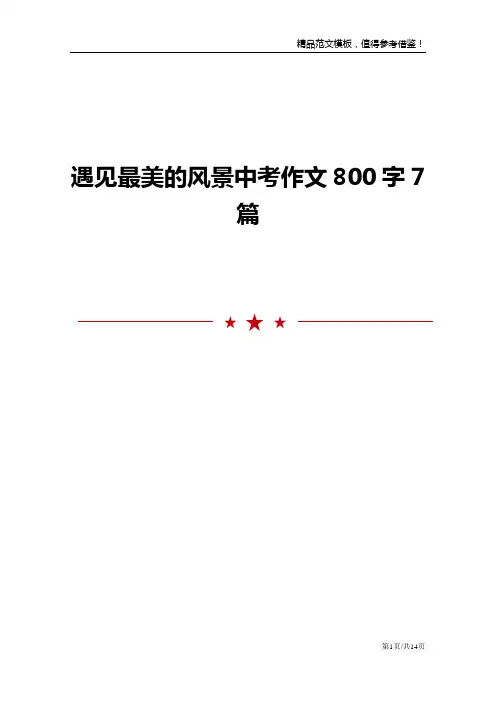遇见最美的风景中考作文800字7篇