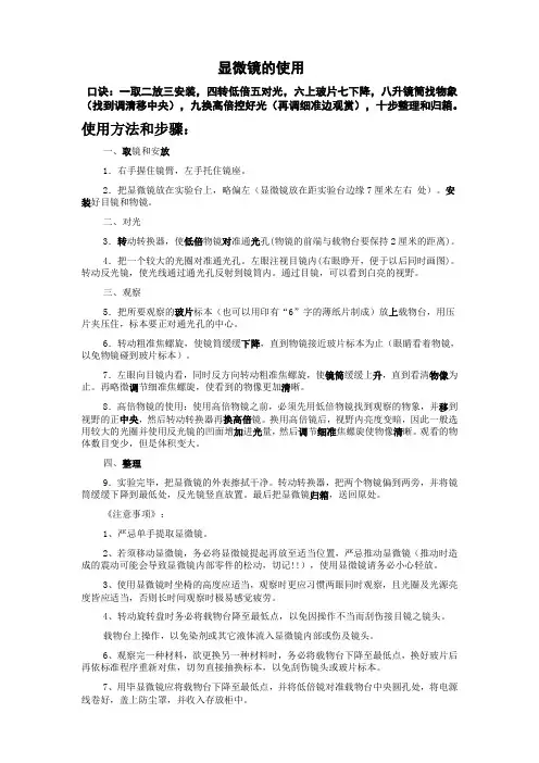 光学显微镜的使用